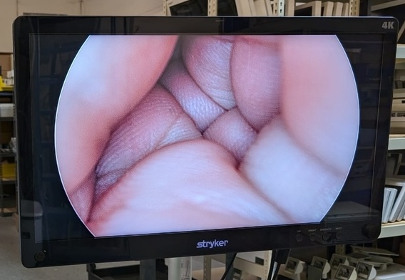 Stryker™ 4K OLED Monitor