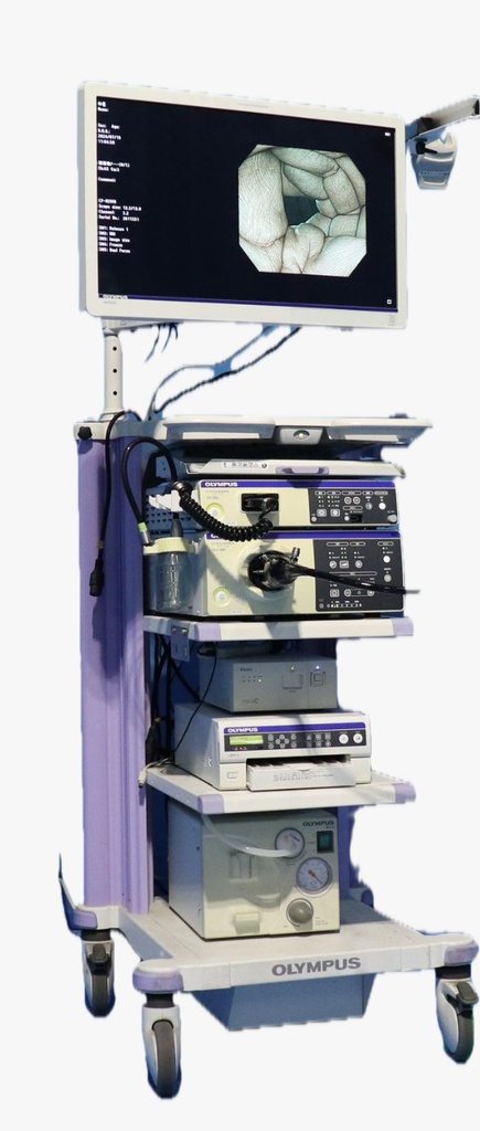 Olympus High Definition Veterinary Endoscopy Set